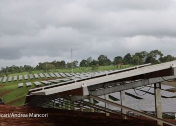 Tema del Día Internacional de las Cooperativas de 2020: Las cooperativas y la acción por el clima