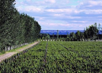 Área Rural CCU – Capacitaciones en tiempos complejos