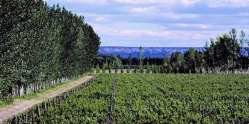 Área Rural CCU – Capacitaciones en tiempos complejos