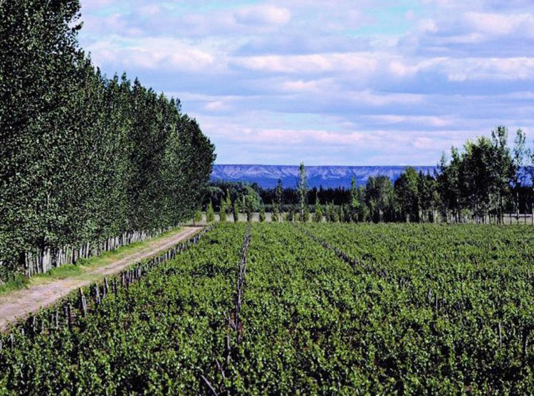 Área Rural CCU – Capacitaciones en tiempos complejos