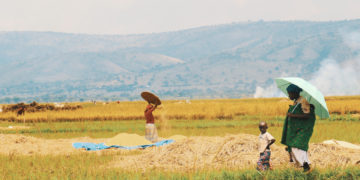Análisis de Marcos Legales Cooperativos de América
