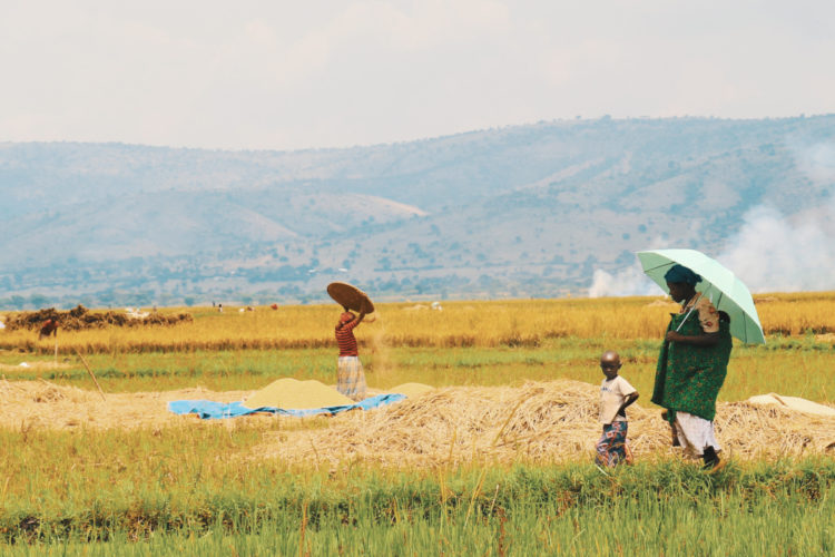 Análisis de Marcos Legales Cooperativos de América