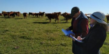 Cooperativistas mantienen producción de alimentos