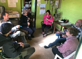 El desarrollo forestal en Arévalo y el cooperativismo de trabajo en Tacuarembó