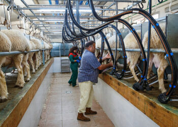 Las cooperativas se disparan un 12% hasta rozar los 2.900 millones