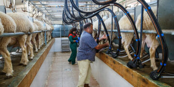 Las cooperativas se disparan un 12% hasta rozar los 2.900 millones