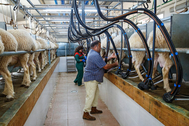 Las cooperativas se disparan un 12% hasta rozar los 2.900 millones