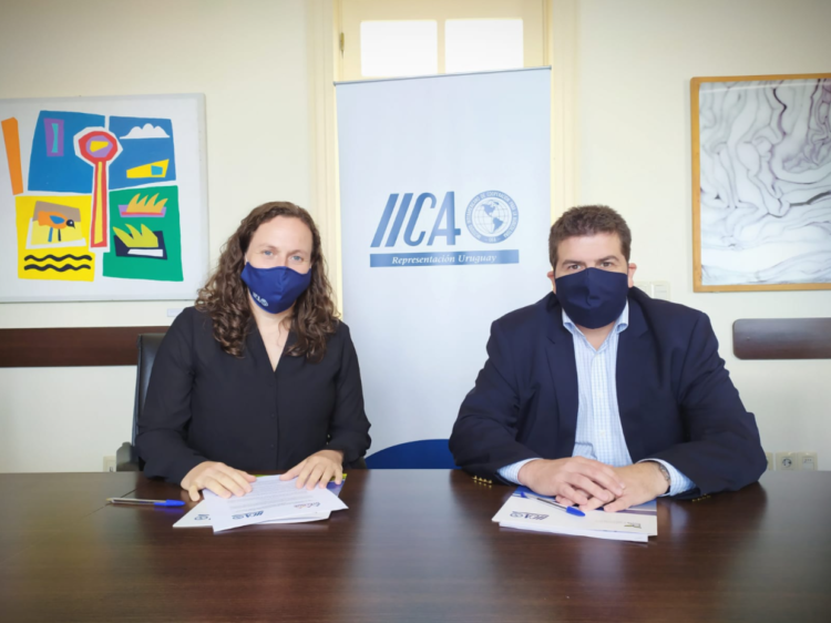 Acuerdo General de Cooperación entre INACOOP y IICA