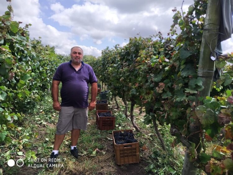 Detrás de un vino elaborado por la cooperativa CAVA, hay trabajo de 23 familias uruguayas