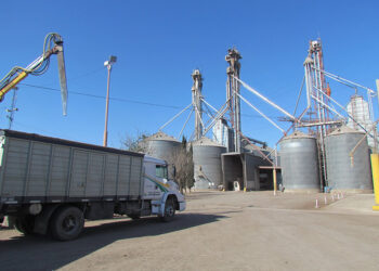 La Cooperativa Lehmann festeja sus 70 años, con inversiones por más de u$s 5 millones