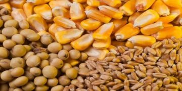 Curso: «Idóneo en Manejo Post Cosechas de Granos» – Pre inscripciones al Módulo I