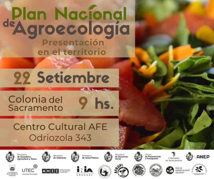 Talleres de Territorialización del Plan Nacional de Agroecología (PNA).