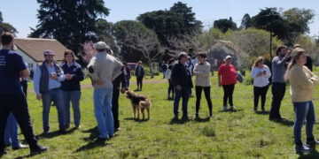 Regularización de cooperativas de INC