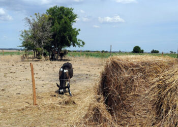 La Comisión Nacional de Fomento Rural emitió un comunicado exponiendo su preocupación.