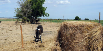 La Comisión Nacional de Fomento Rural emitió un comunicado exponiendo su preocupación.