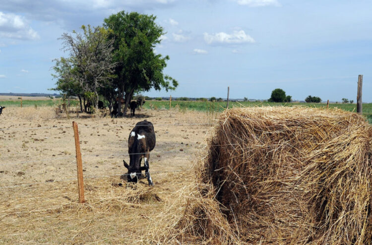 La Comisión Nacional de Fomento Rural emitió un comunicado exponiendo su preocupación.