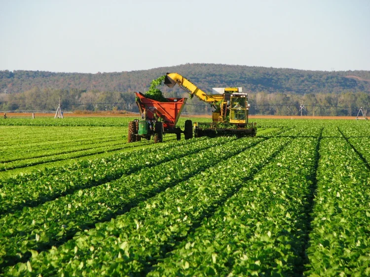 Regularización de cooperativas del INC