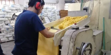 Pasado, presente y futuro – Cooperativa Américo Caorsi