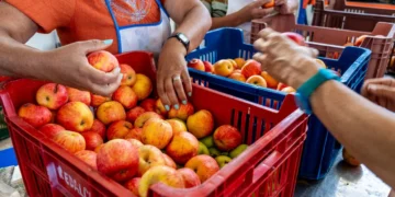 Radalco lanza #MisiónPlatos la iniciativa que busca garantizar 1.200.000 platos de comida para quienes más lo necesitan