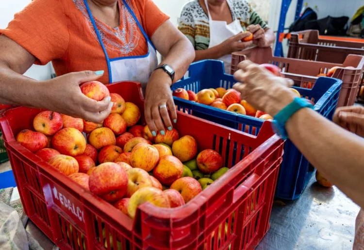 Radalco lanza #MisiónPlatos la iniciativa que busca garantizar 1.200.000 platos de comida para quienes más lo necesitan