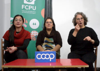 Construyendo puentes, potenciando capacidades: hacia una verdadera inclusión laboral