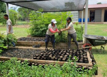 Dinámicas de cambio en el cooperativismo de Colombia entre los dos años internacionales de las cooperativas