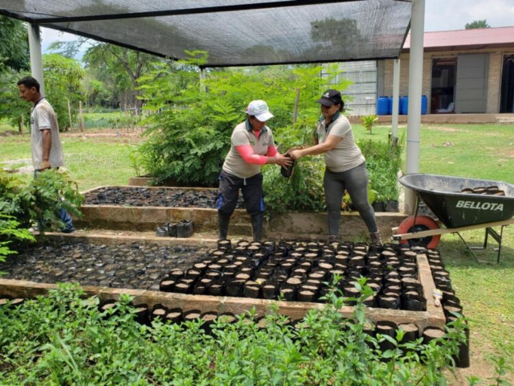 Dinámicas de cambio en el cooperativismo de Colombia entre los dos años internacionales de las cooperativas